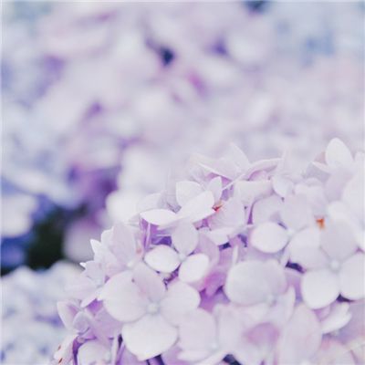 闪艺长云归游戏(暂未上线)v1.0 安卓版